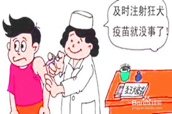 被自己家狗刮破皮了没出血怎么办