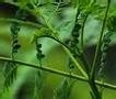 家有主妇妙招无穷54