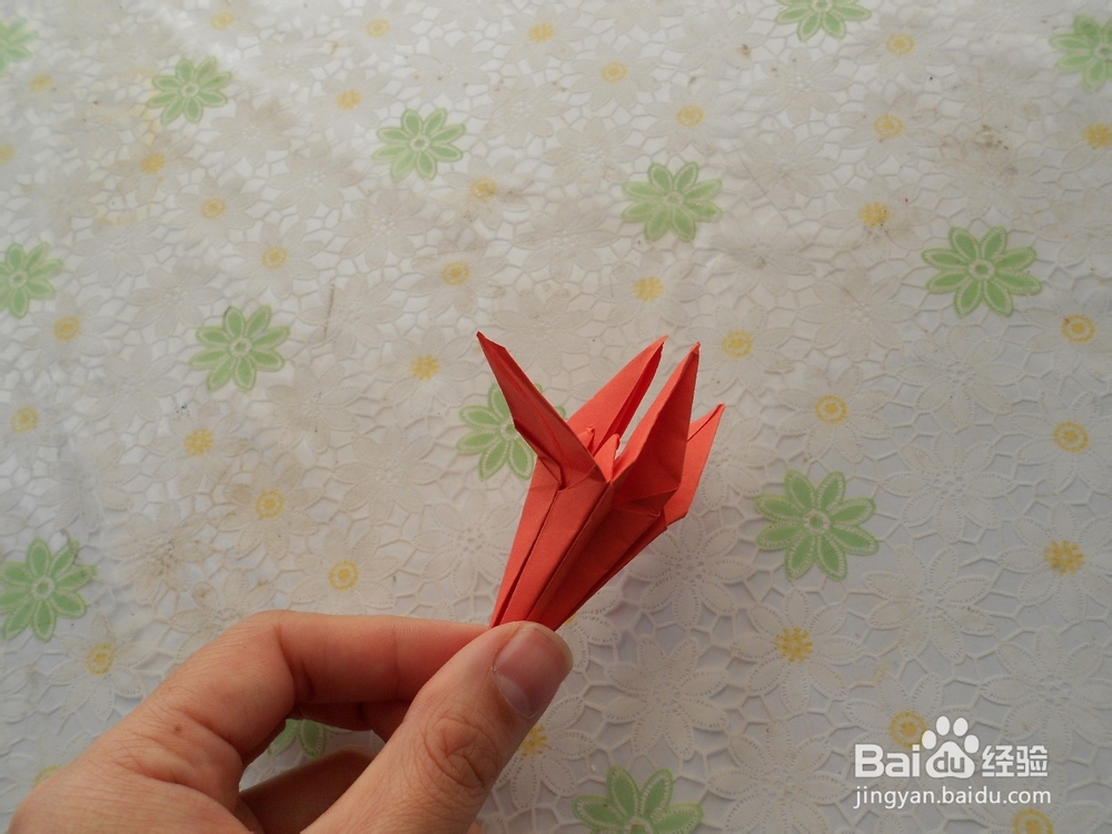 百合花是如何折的