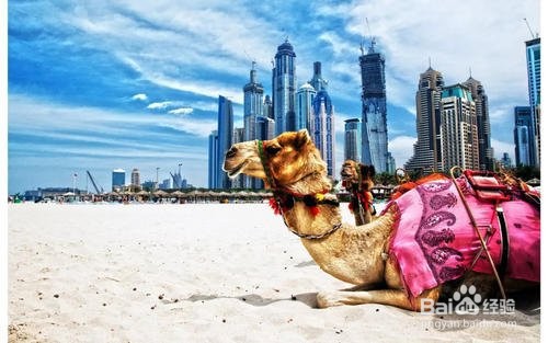 为什么很多富豪选择在沙漠里投资房产(精良版)