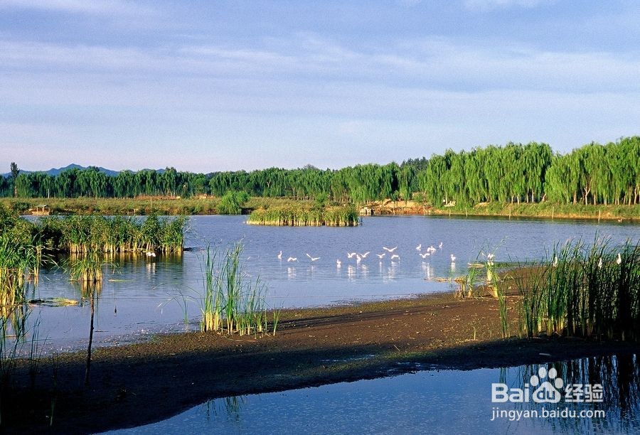 森鑫森林公园攻略