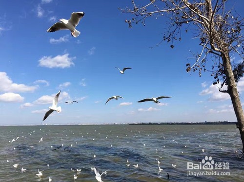 如何正确看待学业成绩问题