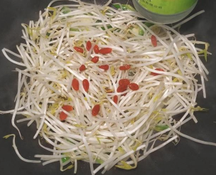 怎么做美味好吃的醋溜豆芽