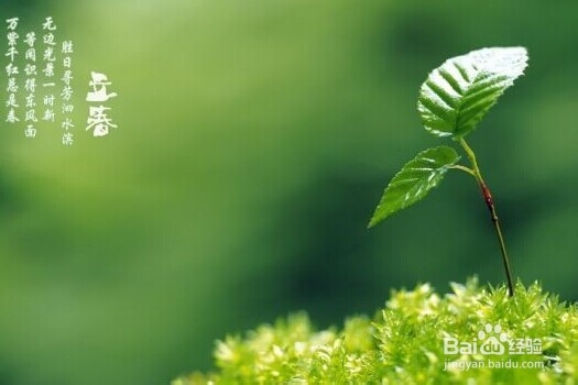 立春如何调养--中医