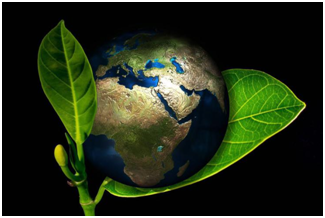 废弃食物处理器有什么好处？