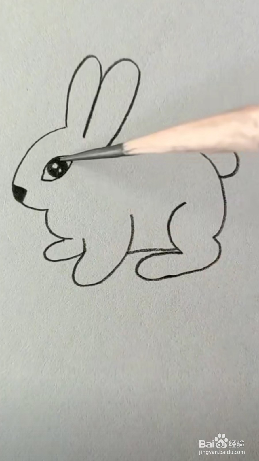 怎么画小兔子
