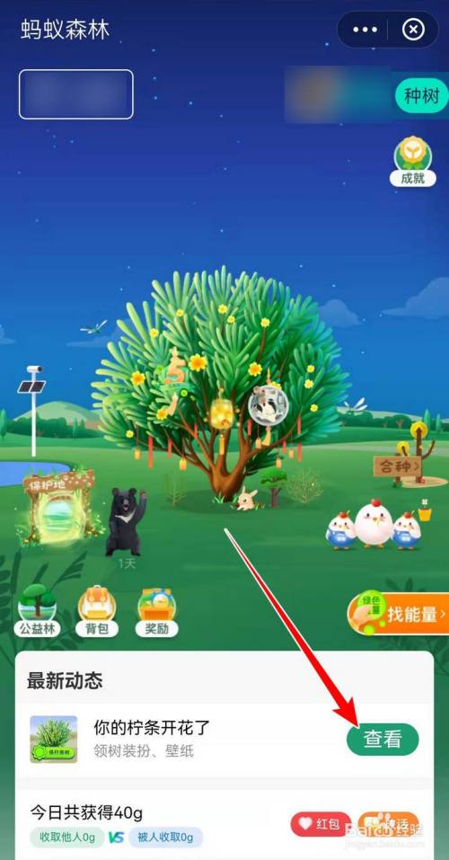 支付宝蚂蚁森林怎么获取柠条树装扮