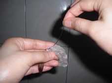 夏日餐桌上的减肥美食——鲜虾焖冬瓜