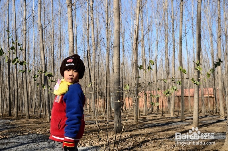 小学生该如何过好寒假？