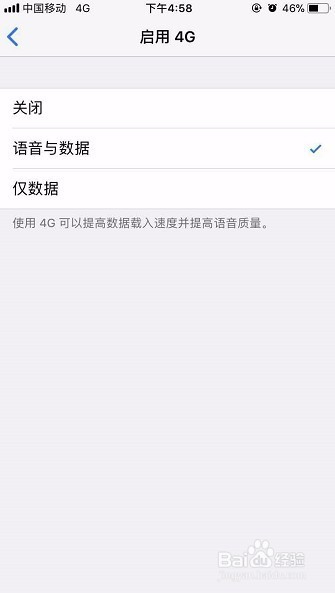 怎么关闭或者开启苹果手机的4g网络