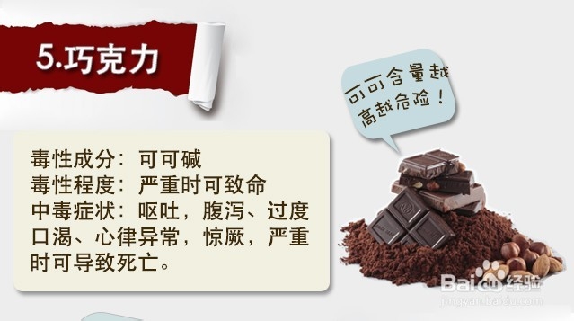 狗狗不能吃的15种食物