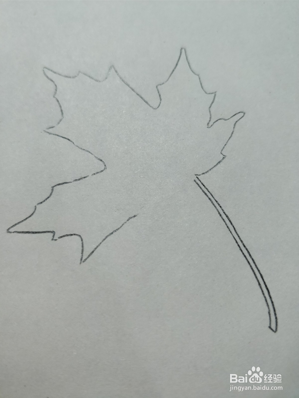 简笔画枫叶怎么画