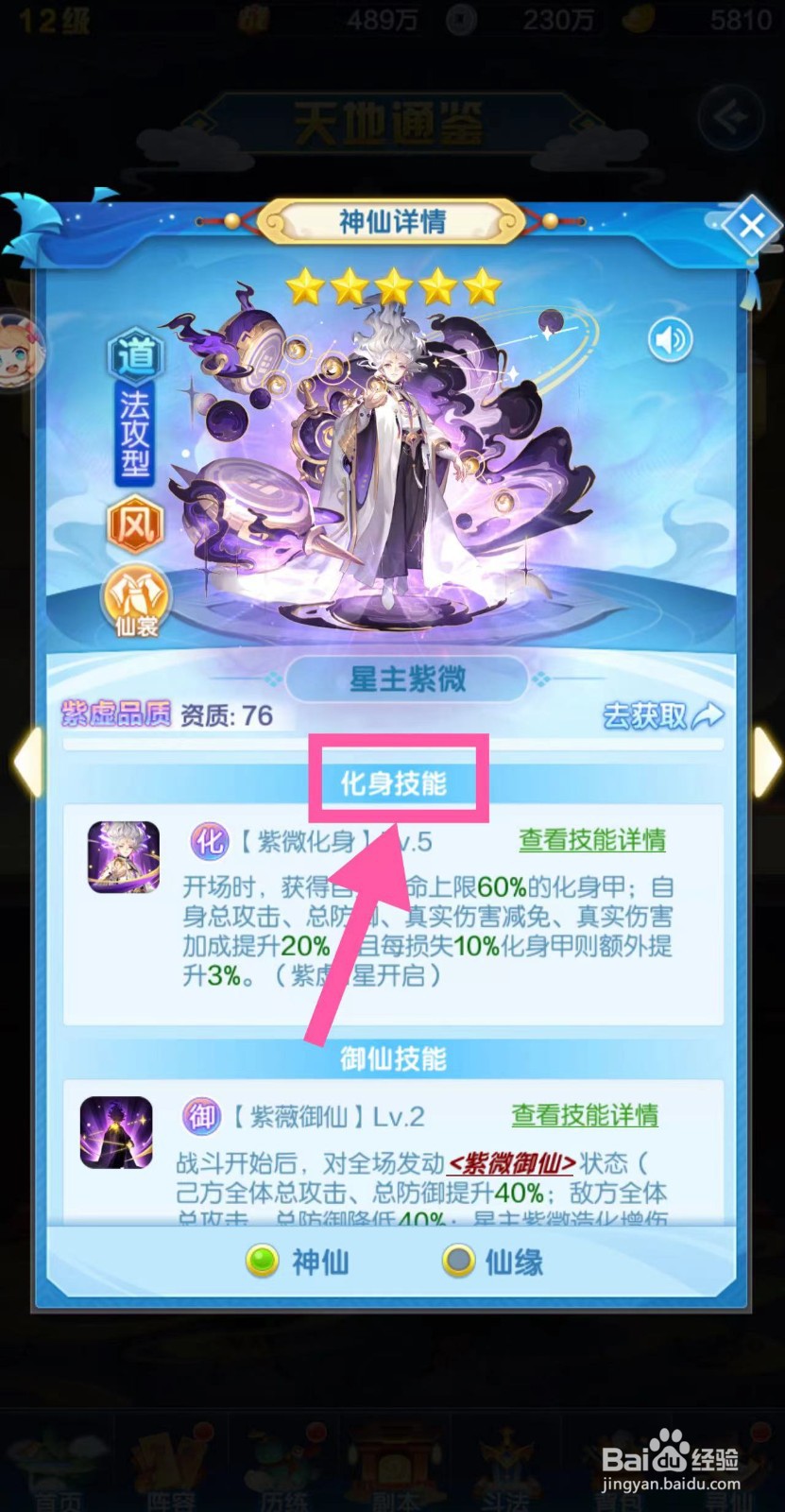 道友请留步怎么查看星主紫薇的化身技能