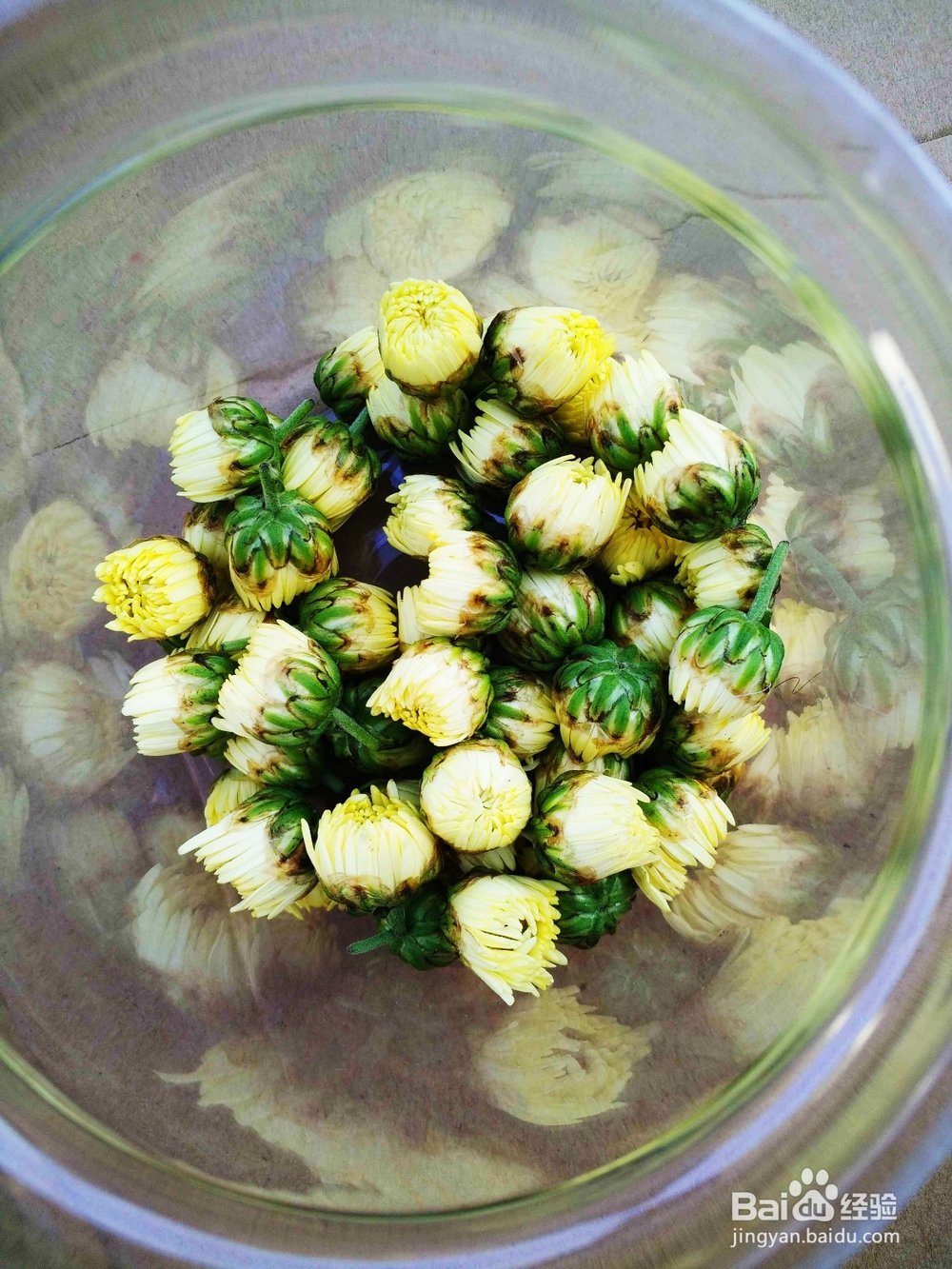 孕妇喝明钼菊花茶的好处