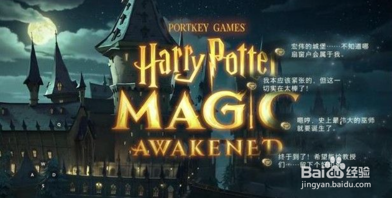 哈利波特魔法觉醒咒术流贝拉怎么搭配