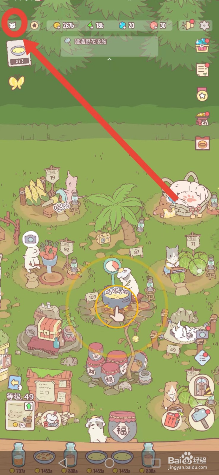 猫咪和汤如何给猫咪喂鱼