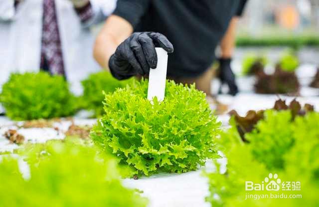 新房除甲醛和异味