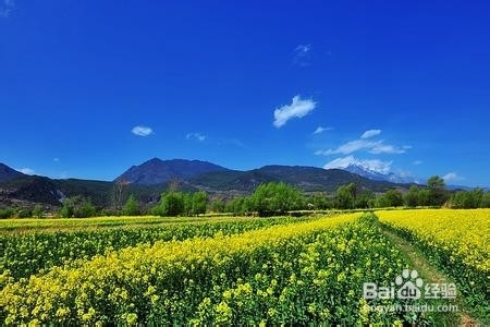 去丽江旅游最惬意的事情
