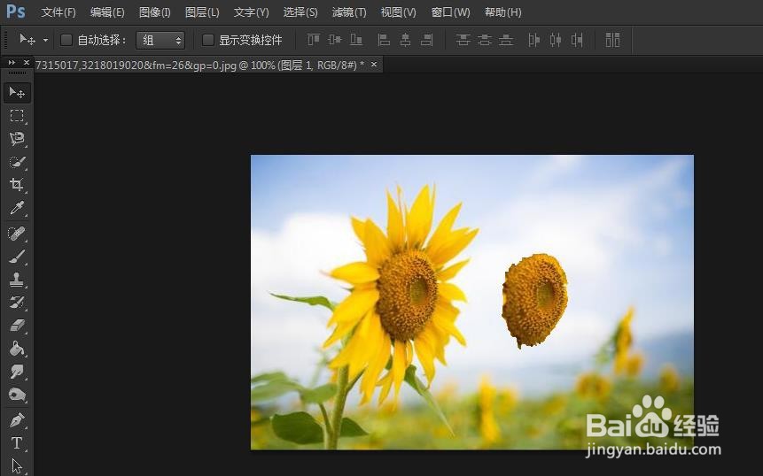 PS如何使用快速选择工具抠图