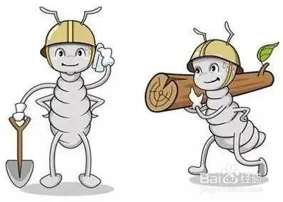 别墅白蚁怎么灭