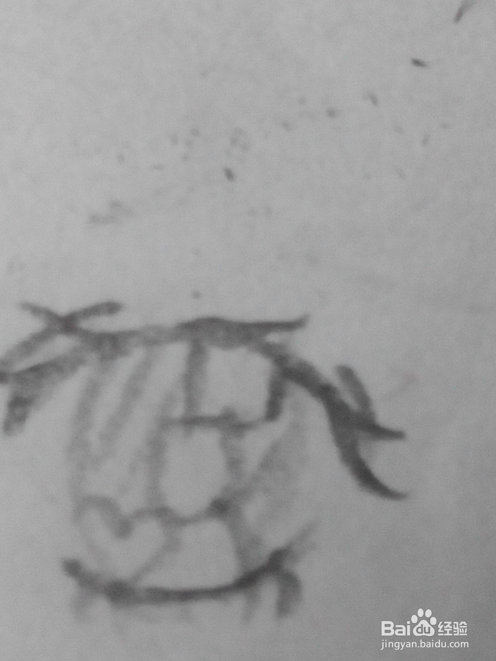 原创动漫人物的眼睛20