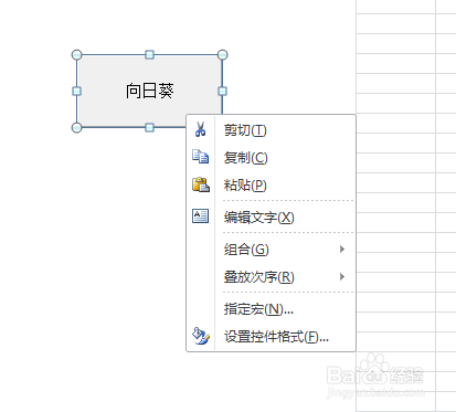 如何利用VBA代码画向日葵