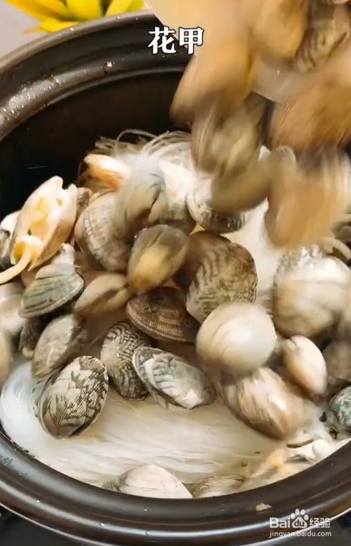 美味花甲教程来啦！