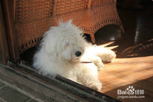 云彼天南,大研故事(一)