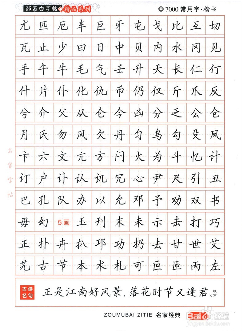 练字字体类型图片