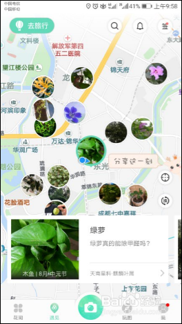使用识花APP【形色】识别各种植物、花草、果蔬