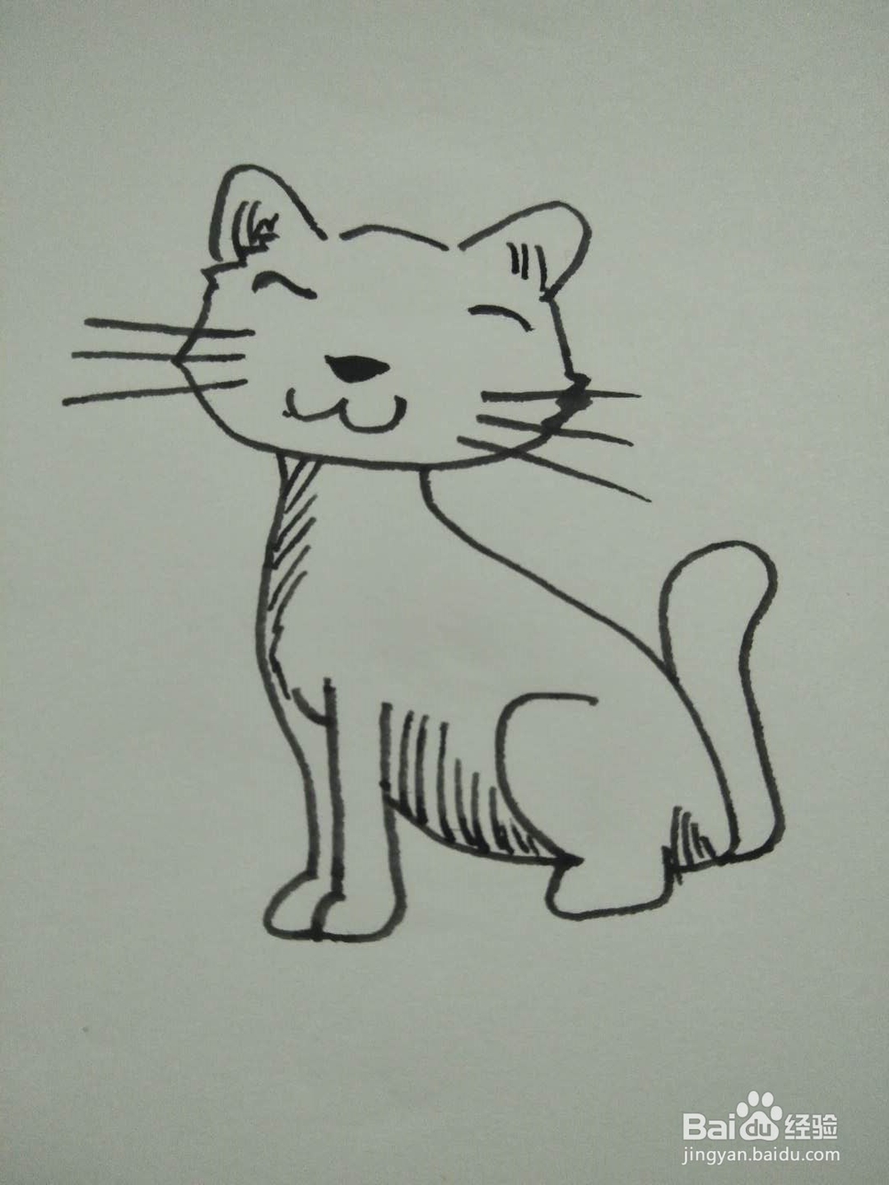 猫的简笔画法8