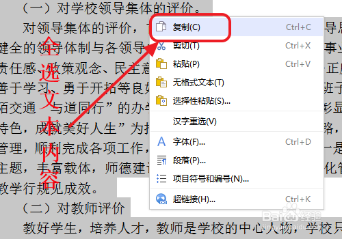 怎样清除文档里面的所有格式？