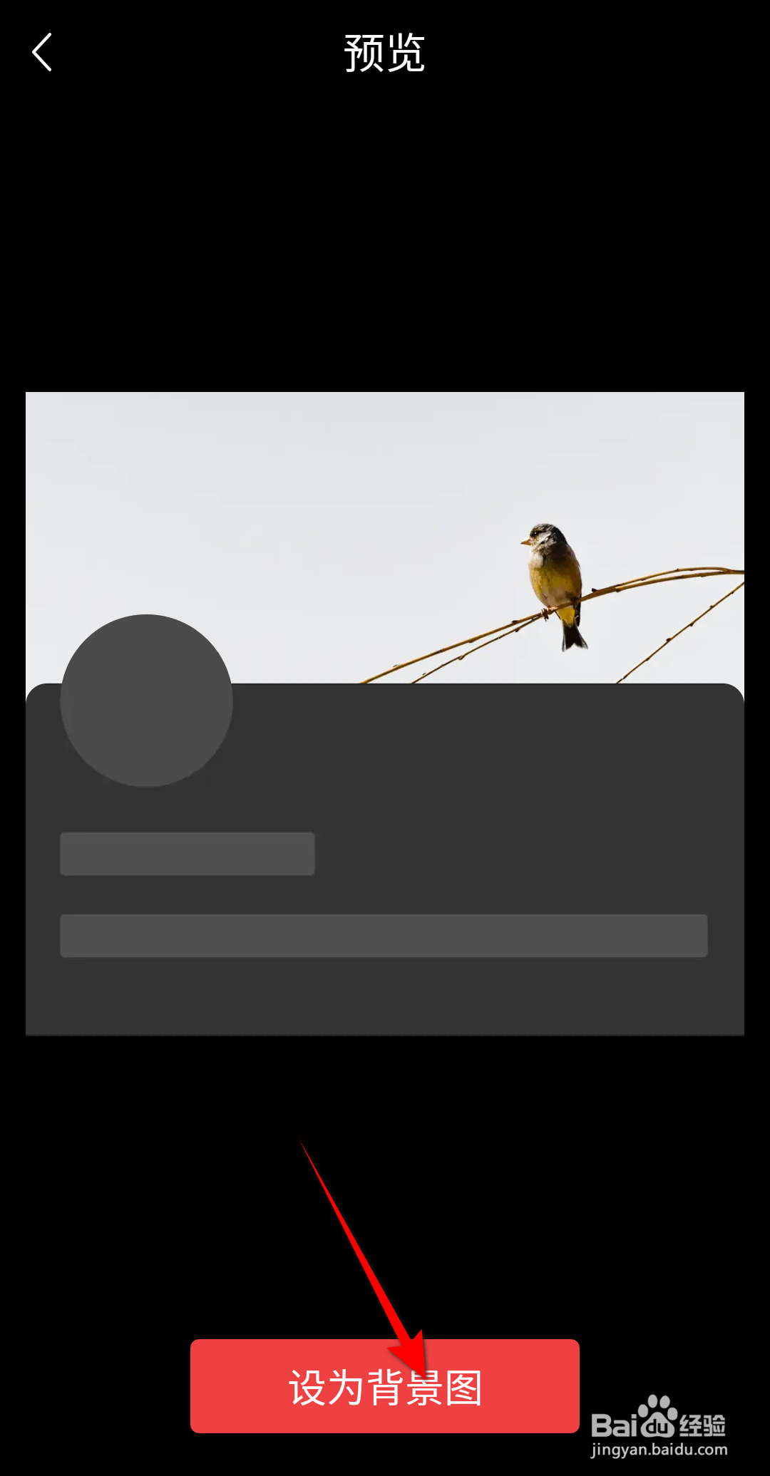 今日头条极速版怎么设置背景图