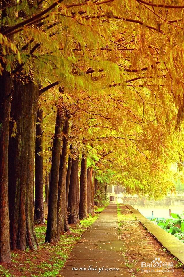 北京好看的拍摄地点，四个吧~以后再补