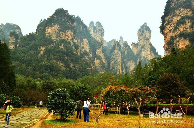 通化到张家界自驾游