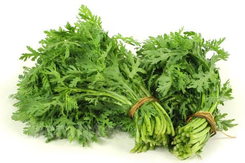 茼高菜是什么