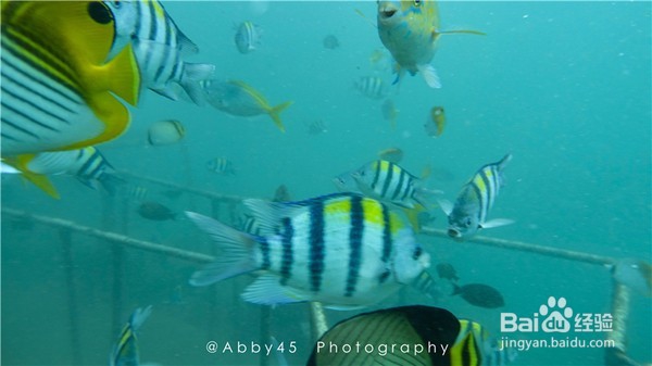 春游阳光巴厘,躲避冷冻的春天。