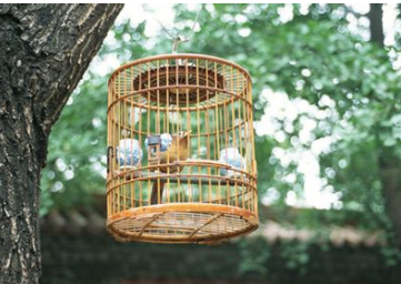 只要大鸟在笼里生气地叫一声，它就立即飞回笼里去。用了什么表达方式