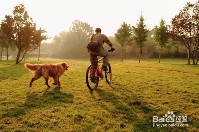 盛夏入伏以后怎么做身体防护