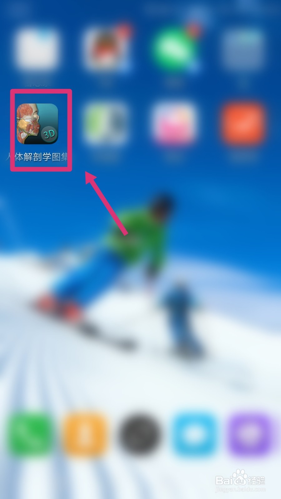 人体解剖学图集如何查看呼吸系统?