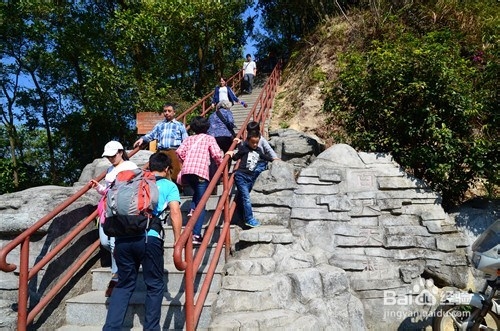 【深圳免费景点篇】塘朗山郊野公园游玩攻略