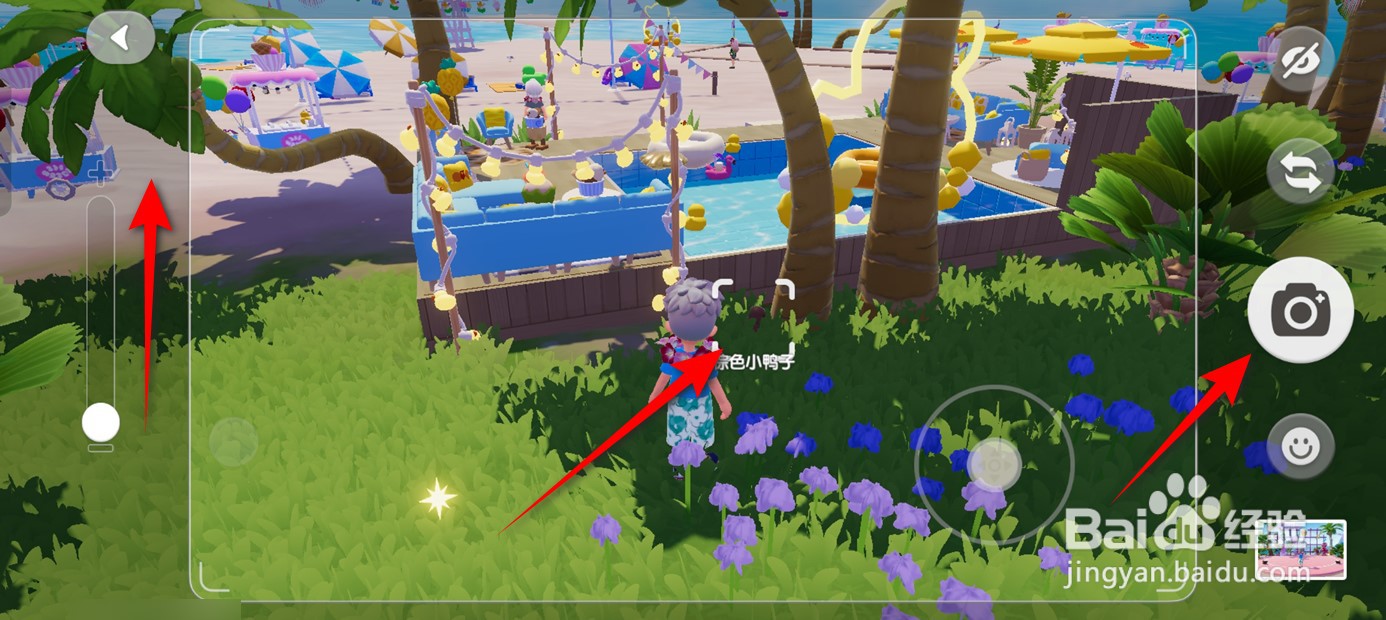 心动小镇在哪里可以拍到棕色小鸭子