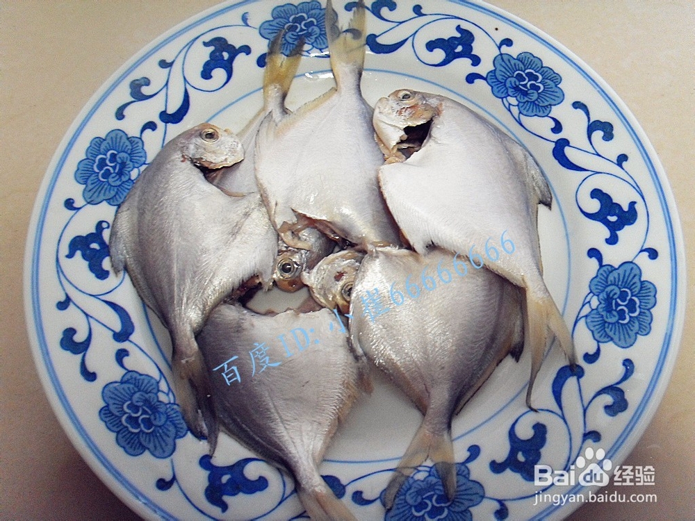 清蒸晶鱼 晶鱼怎么吃好