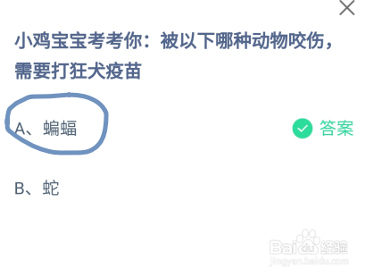 蚂蚁庄园被以下哪种动物咬伤，需要打狂犬疫苗