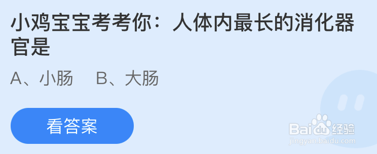 蚂蚁庄园小鸡宝宝考考你人体内最长的消化器官是