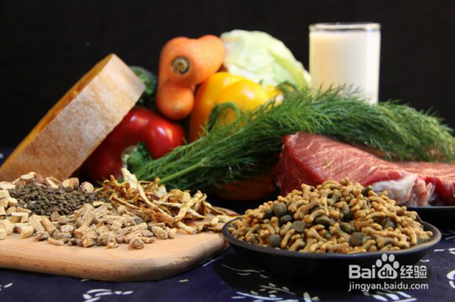 哈士奇感冒如何应对