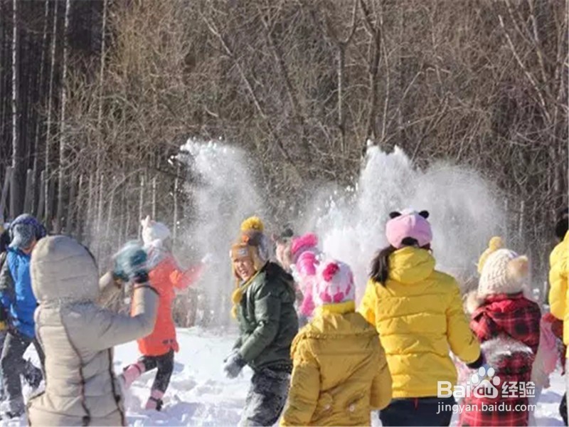 下雪了怎样陪孩子户外完耍