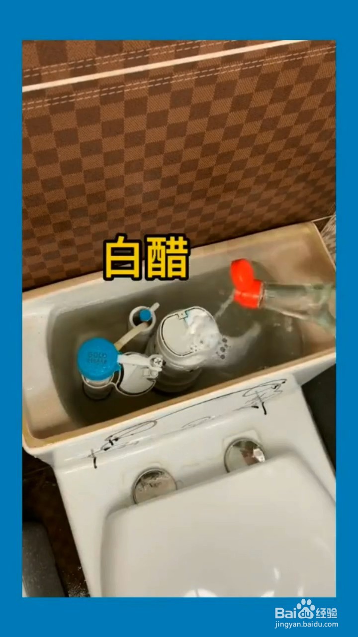 如何处理马桶的异味