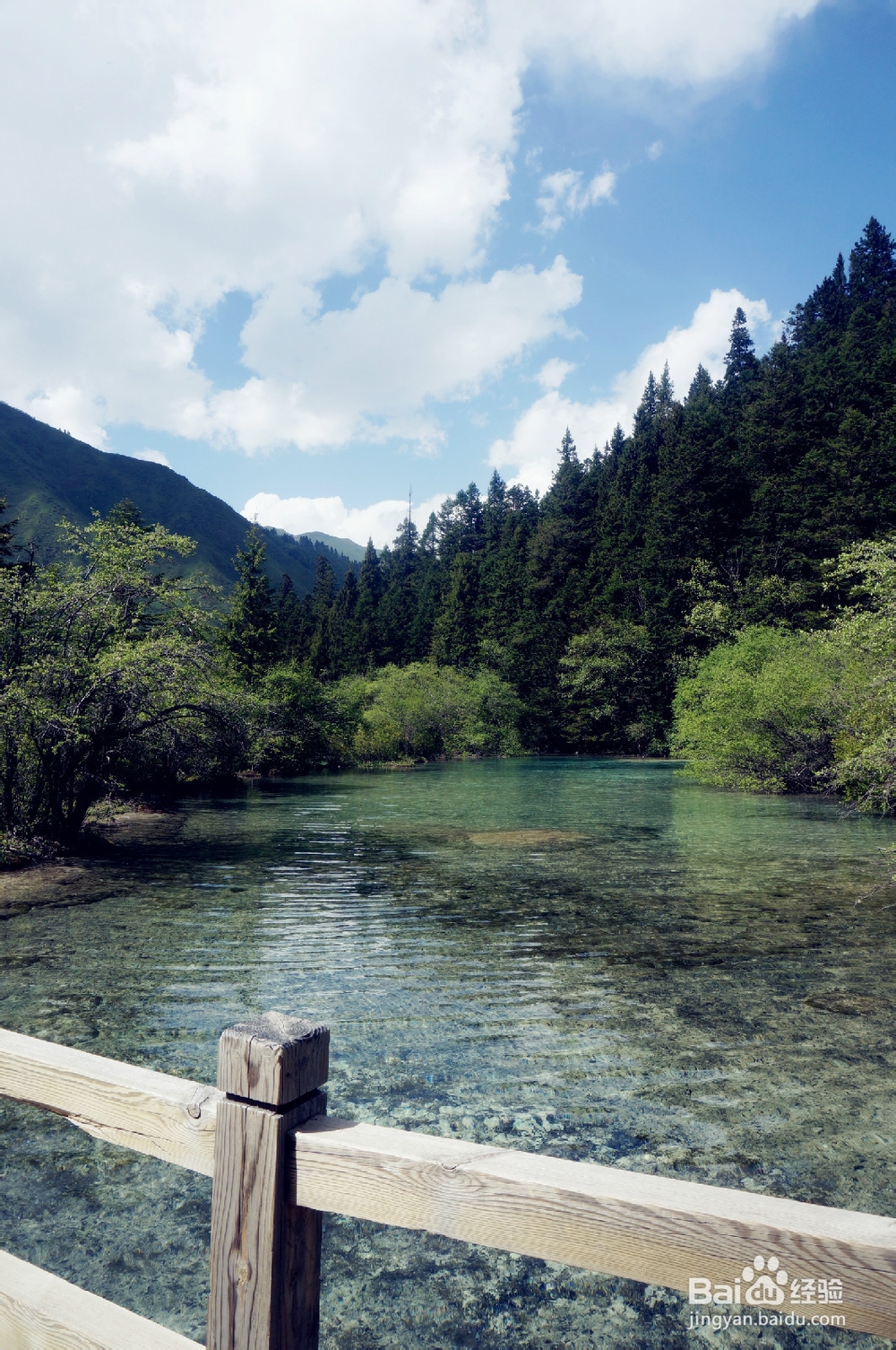 6月的九寨沟依然美如画