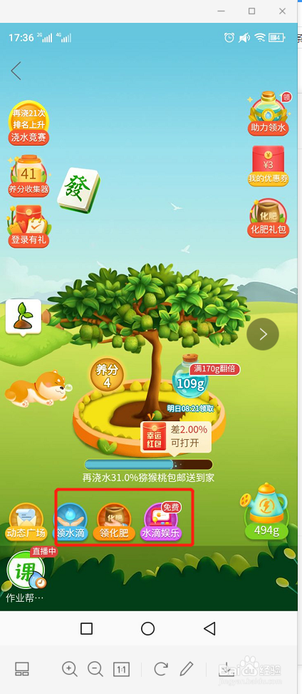 拼多多领取免费水果攻略